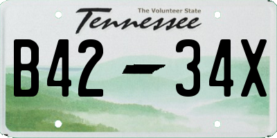 TN license plate B4234X