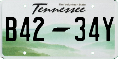 TN license plate B4234Y