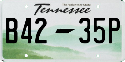 TN license plate B4235P