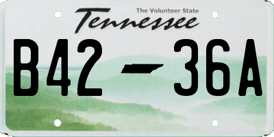 TN license plate B4236A