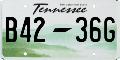 TN license plate B4236G