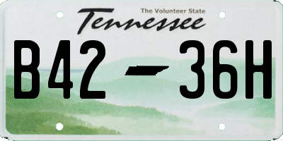 TN license plate B4236H