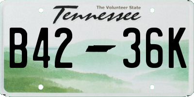 TN license plate B4236K