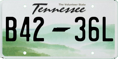TN license plate B4236L