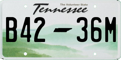TN license plate B4236M