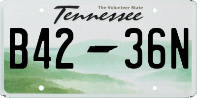 TN license plate B4236N
