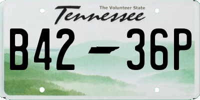 TN license plate B4236P