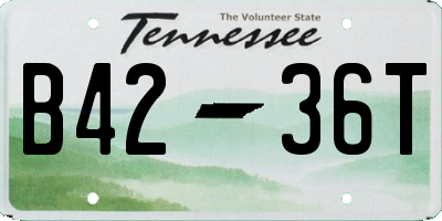 TN license plate B4236T