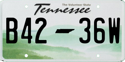 TN license plate B4236W