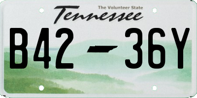 TN license plate B4236Y