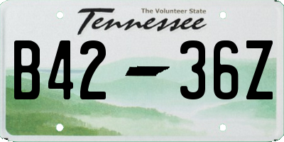 TN license plate B4236Z