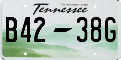TN license plate B4238G