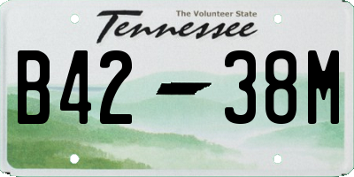 TN license plate B4238M