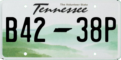 TN license plate B4238P