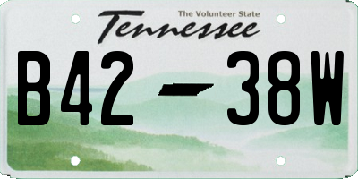 TN license plate B4238W