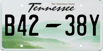 TN license plate B4238Y