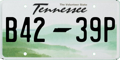 TN license plate B4239P