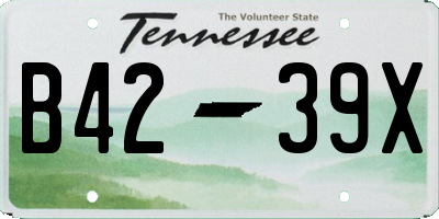 TN license plate B4239X