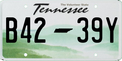 TN license plate B4239Y