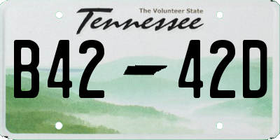 TN license plate B4242D