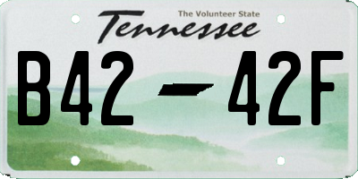TN license plate B4242F