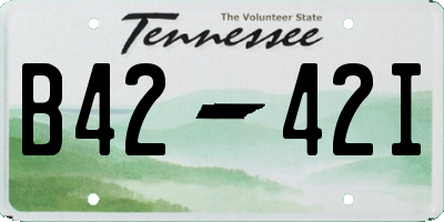 TN license plate B4242I