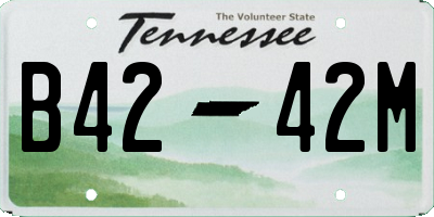 TN license plate B4242M