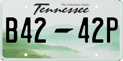 TN license plate B4242P