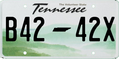 TN license plate B4242X