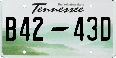 TN license plate B4243D