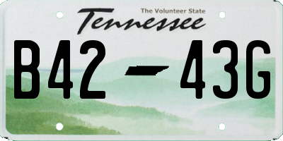 TN license plate B4243G