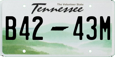 TN license plate B4243M