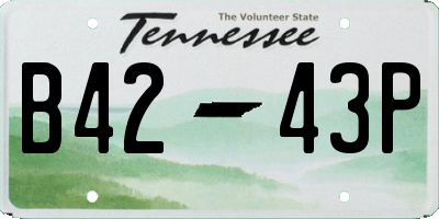 TN license plate B4243P