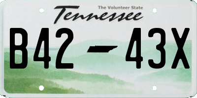 TN license plate B4243X