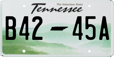 TN license plate B4245A