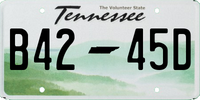 TN license plate B4245D