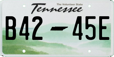 TN license plate B4245E