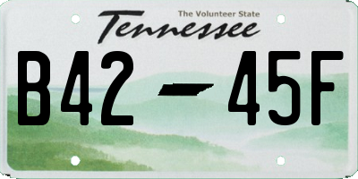 TN license plate B4245F