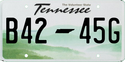 TN license plate B4245G