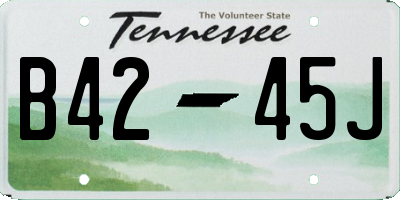 TN license plate B4245J
