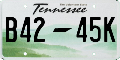 TN license plate B4245K