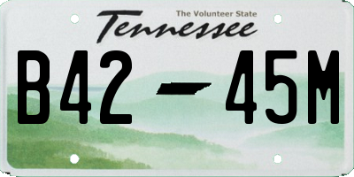 TN license plate B4245M