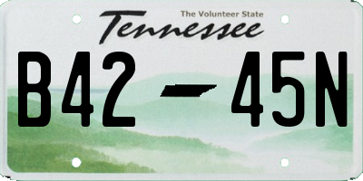 TN license plate B4245N