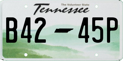 TN license plate B4245P