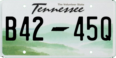 TN license plate B4245Q