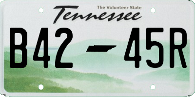 TN license plate B4245R