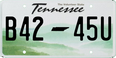 TN license plate B4245U