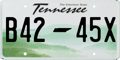 TN license plate B4245X