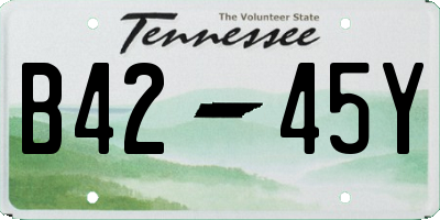 TN license plate B4245Y