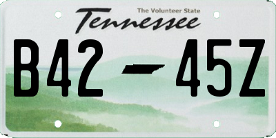 TN license plate B4245Z